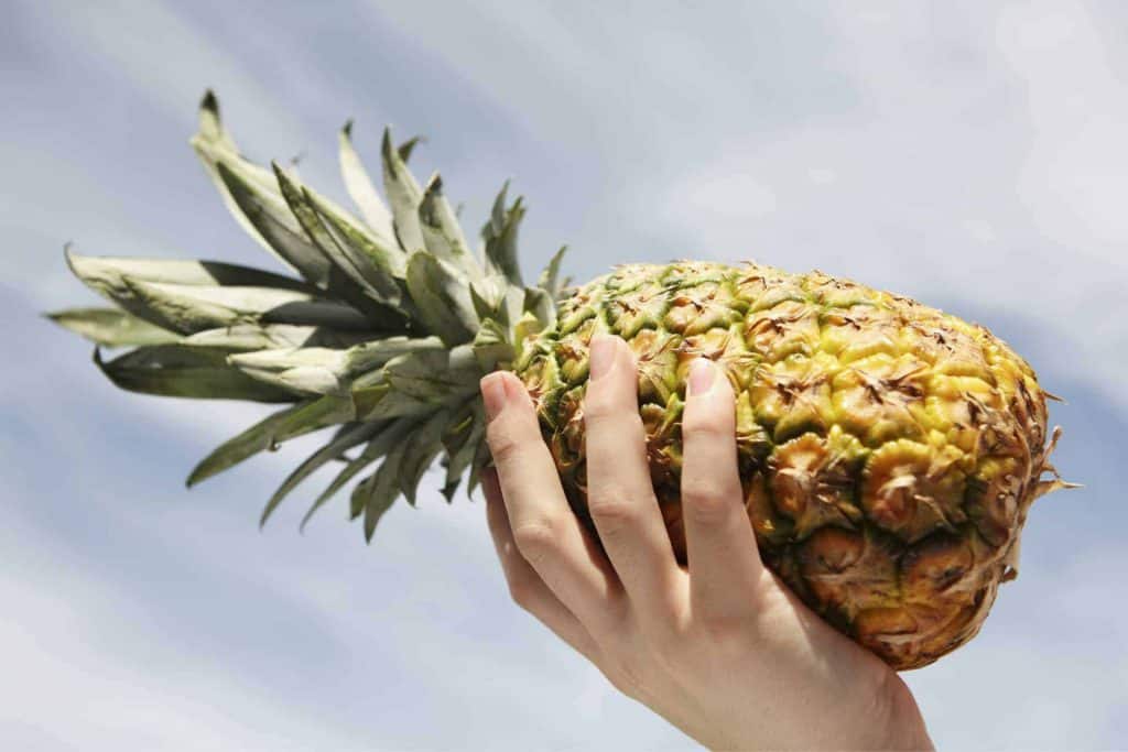 Ananas zum Abnehmen - tropischer Geschmack und schlankere ...