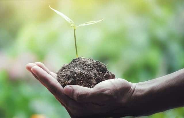 Land, neues Leben