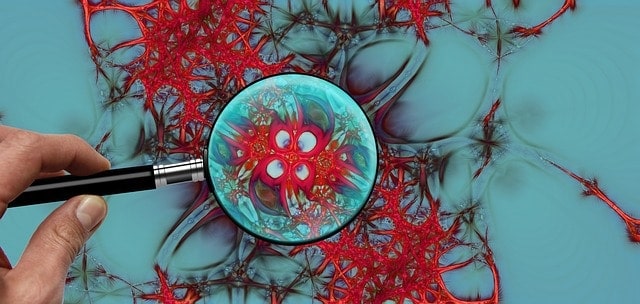 cbd oil
Immunsystem