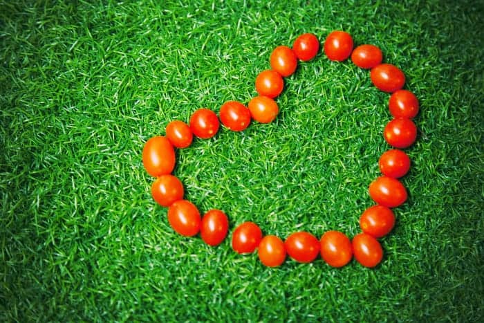 Kirschtomaten