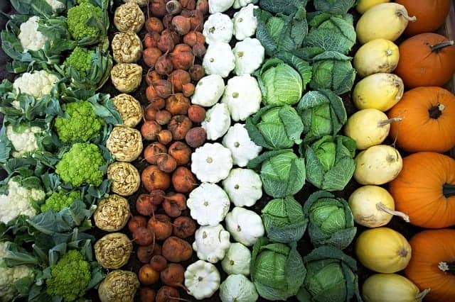 Gemüsestand
Kraut, Kürbis, Blumenkohl, Brokkoli