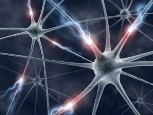 Neuronen